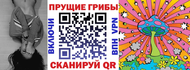 хочу   Муравленко  kraken зеркало  Галлюциногенные грибы Psilocybe 