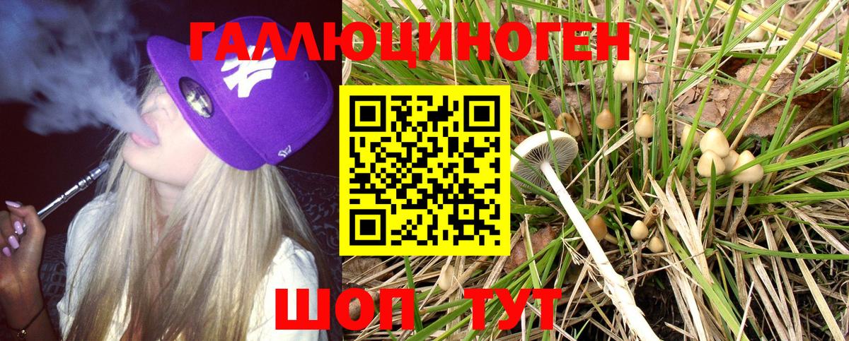 Псилоцибиновые грибы мухоморы  продажа наркотиков  Муравленко 