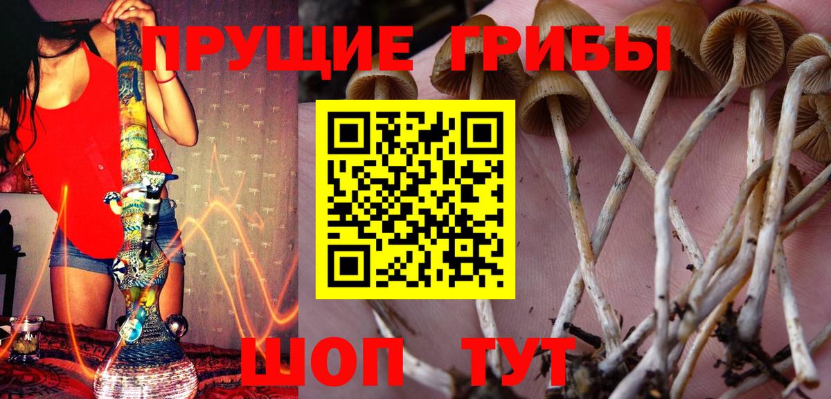 Псилоцибиновые грибы мицелий  Вход с VPN  Муравленко 