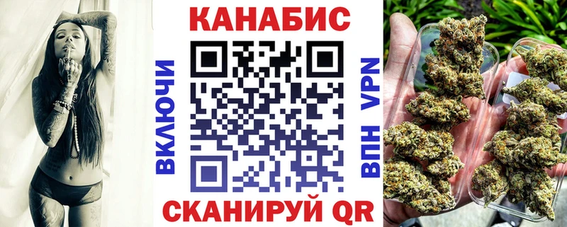 Конопля гибрид  Муравленко 